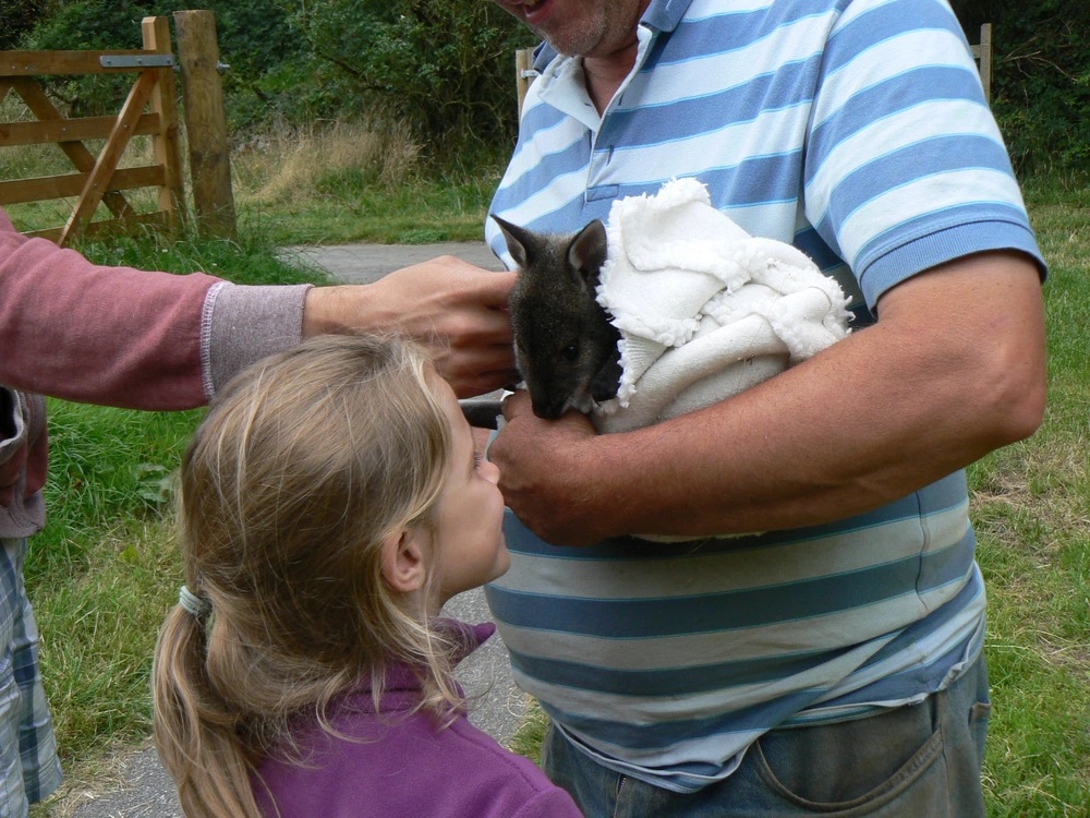Abi meets Colin the Wallaby