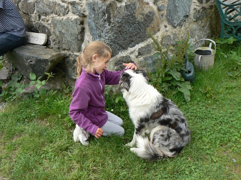 Abi making friends with Bow