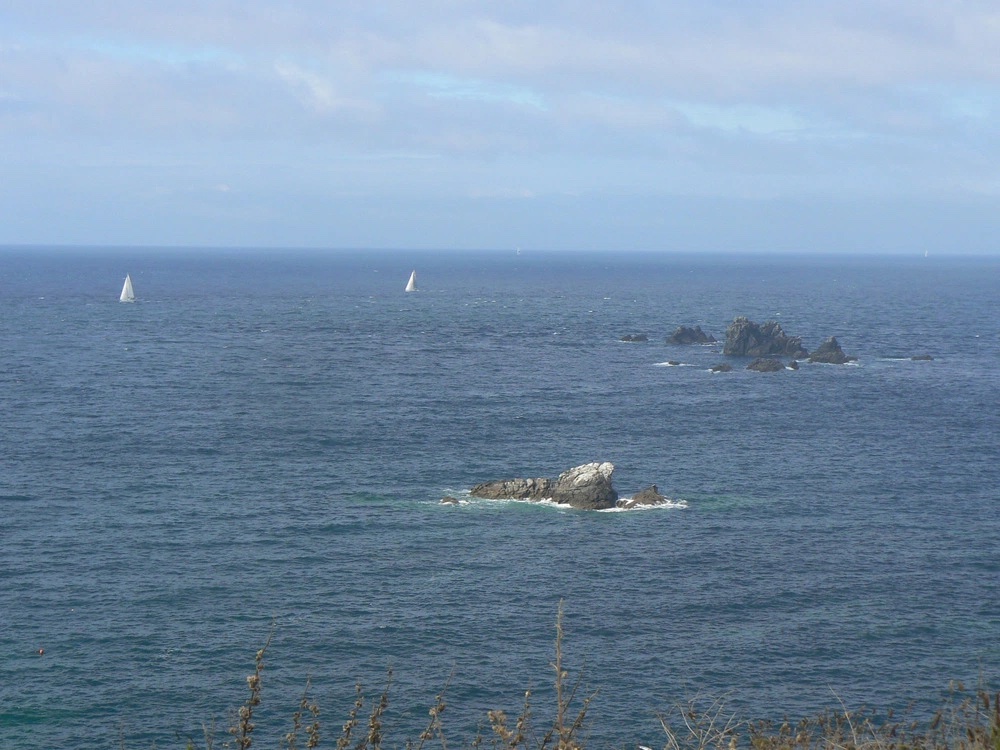 Lizard point